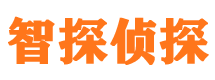 通山市私家侦探